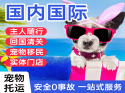 大兴机场物流国际宠物托运 【国
